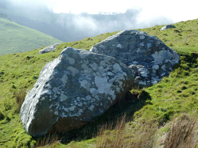 On the way to Boulder Beach. Otago Peninsula, New Zealand.