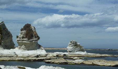 Kaikoura Peninsula, New Zealand